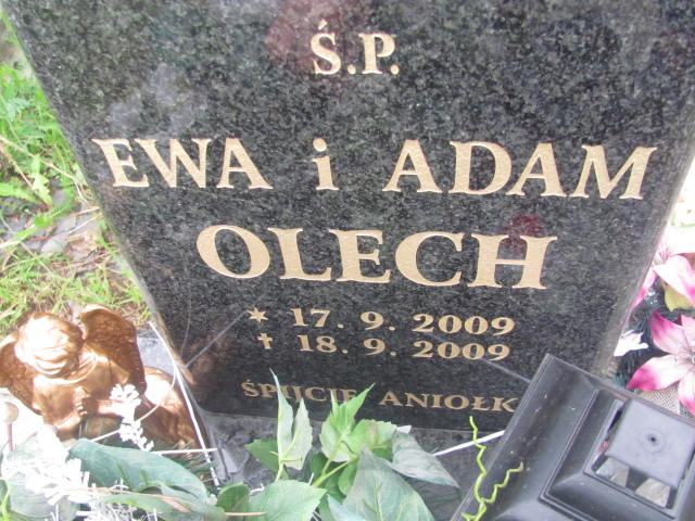 Adam Olech 2009 Zabrze św. Macieja - Grobonet - Wyszukiwarka osób pochowanych