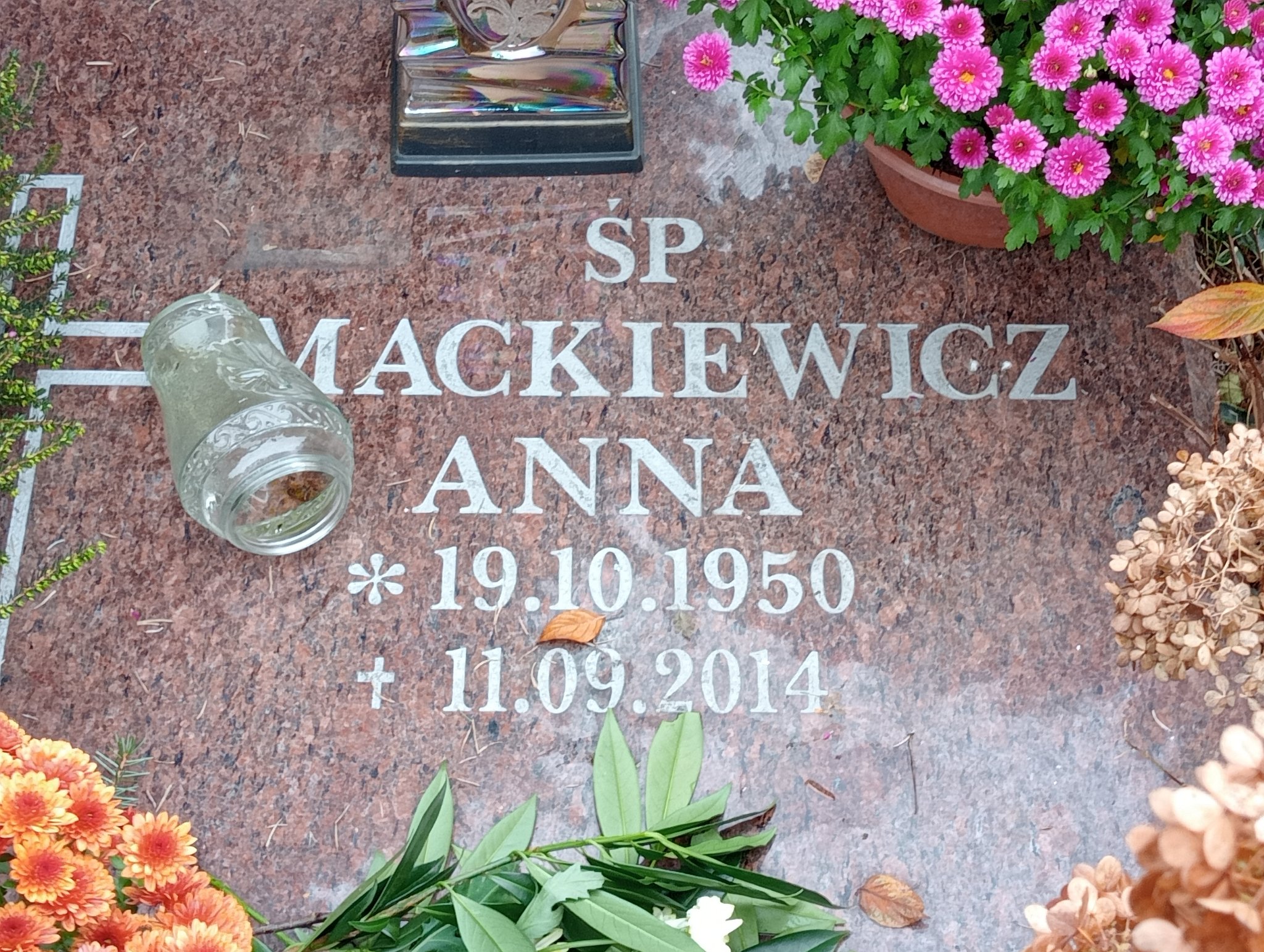 Anna Mackiewicz 1950 Zabrze św. Macieja - Grobonet - Wyszukiwarka osób pochowanych